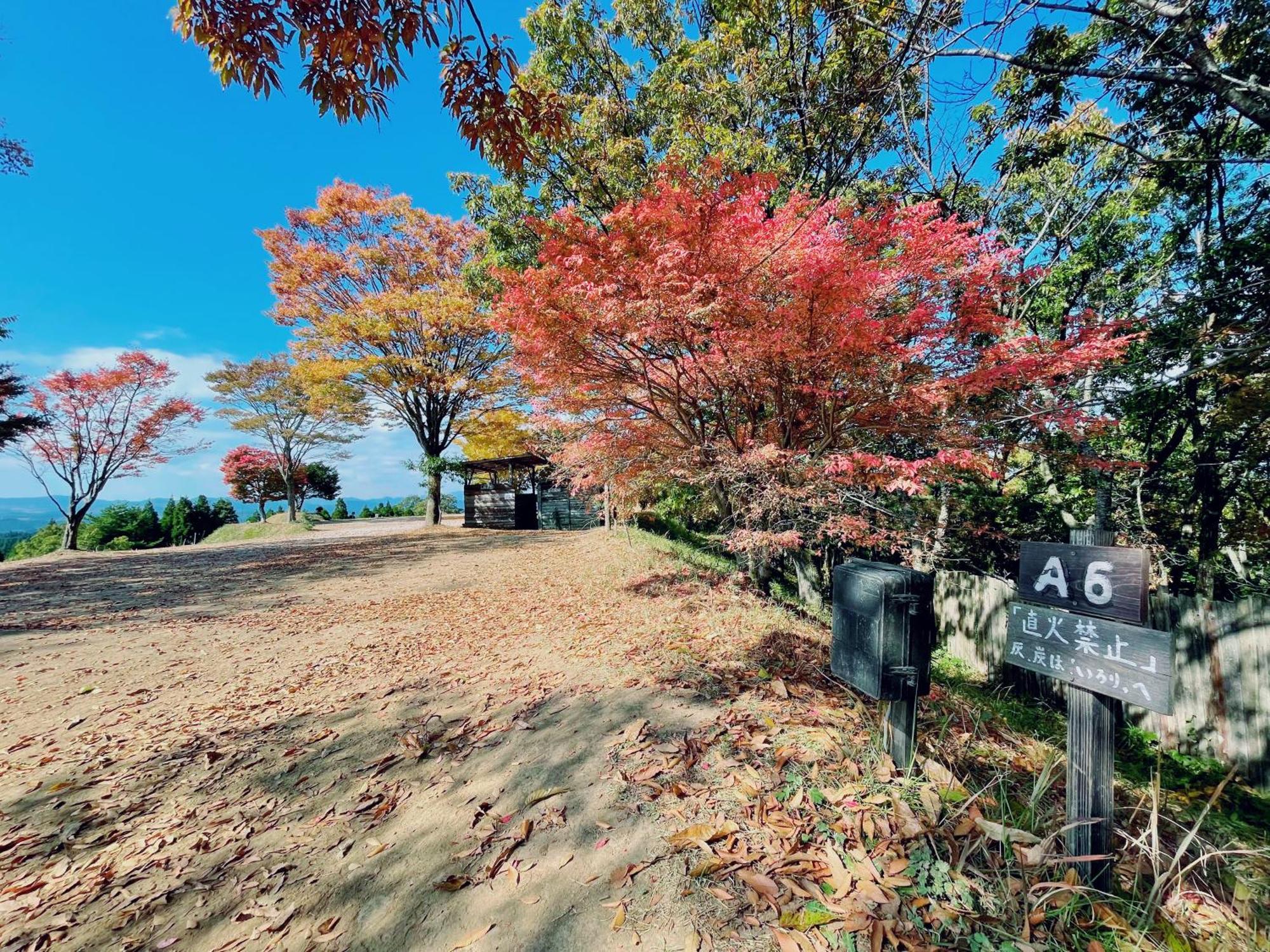 Vila Kurasako Onsen Sakura Minamioguni Exteriér fotografie